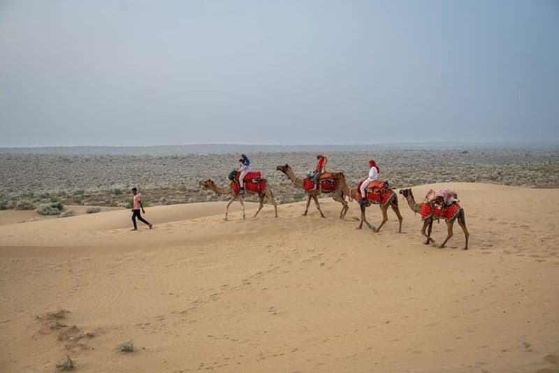 Billet Safari de nuit à dos de chameau - Dormir sous les étoiles
