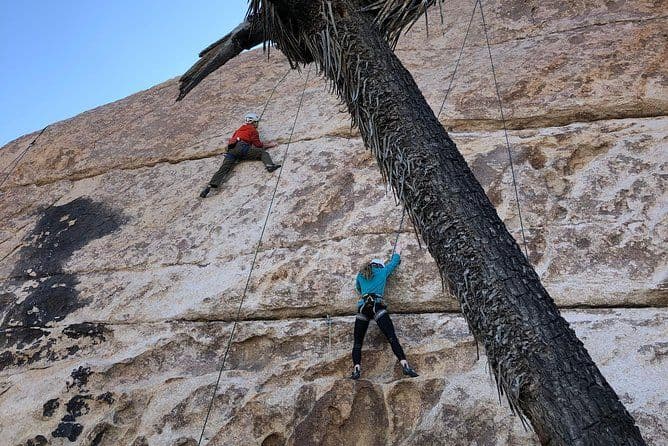 Groupe pour débutants d'escalade dans le parc national Joshua Tree