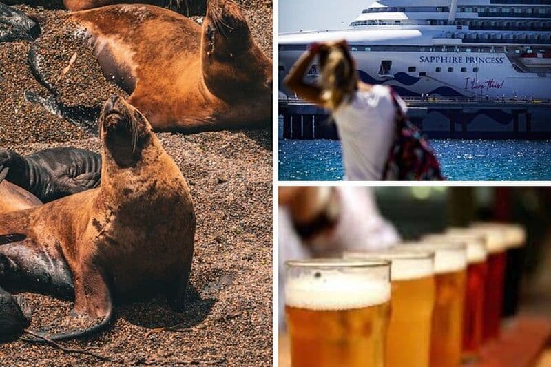 Shore Tour Punta Loma avec dégustation de bière artisanale