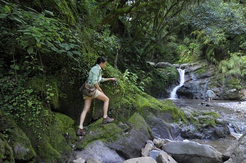 Excursion d'une journée entière en 4x4 au parc national Yungas et El Rey depuis Salta
