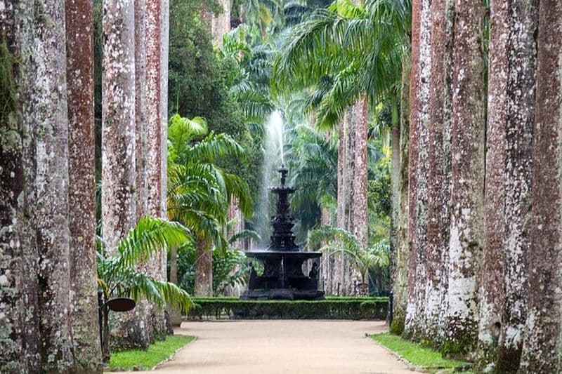 Excursion aux jardins botaniques et au musée botanique en felouque d'Assouan