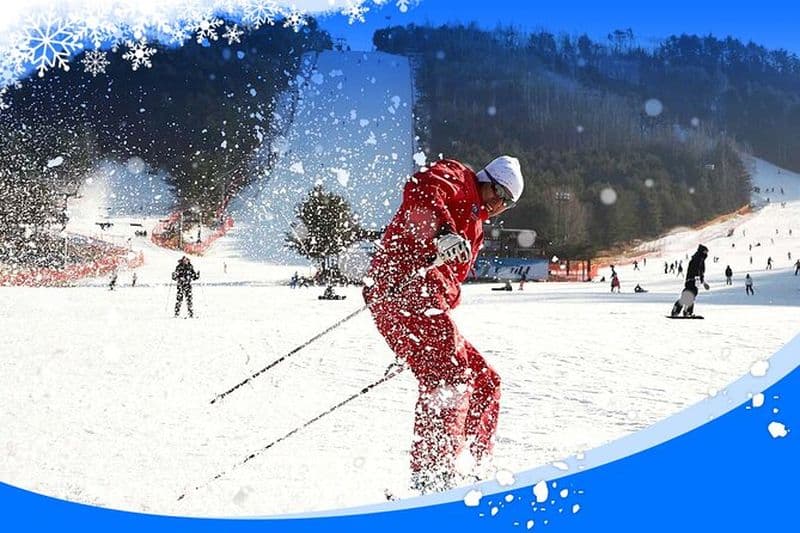 Excursion d'une journée à Jisan Ski