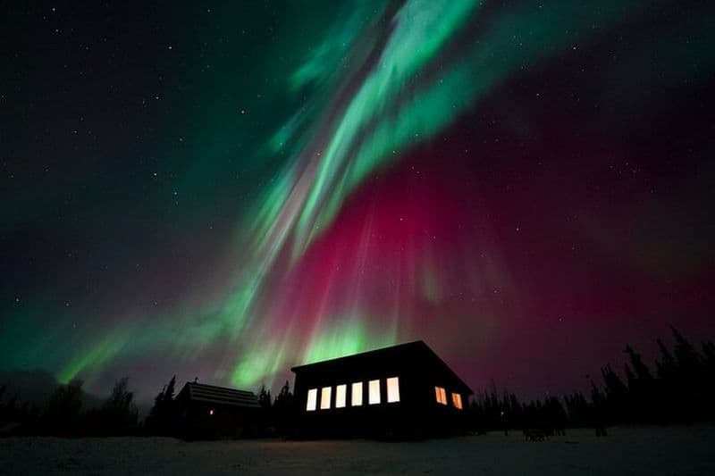 Billet Meilleur Alaskan Cabin Aurora Viewing avec Photographie @Aurora Camp