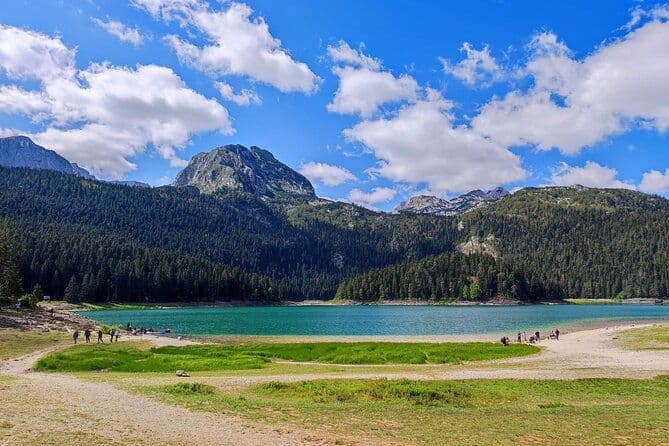 Billet Monténégro: excursion d'une journée au lac noir et au canyon de Tara
