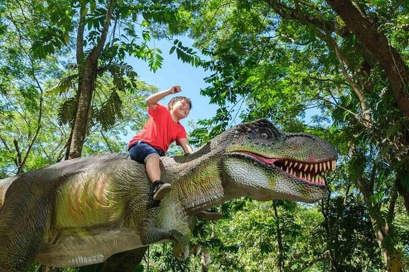 Parc aventure en tyrolienne géante de 6 heures aux Fidji
