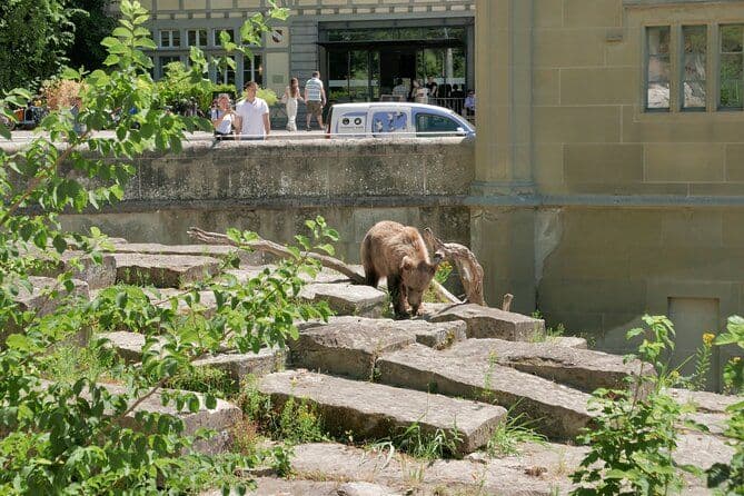 Bière artisanale et culture - Visite libre à Berne