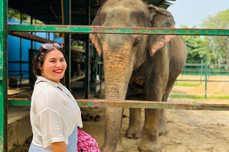 Billet Excursion de 4 jours en triangle d'or avec SOS éléphant et safari tigre
