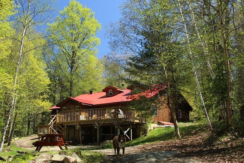 Excursion de 6 jours en canoë Algonquin Explorer