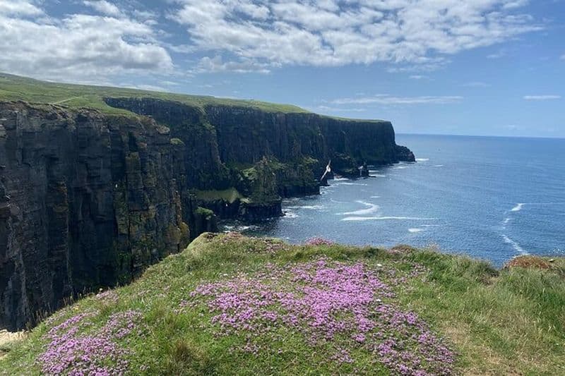 Visite privée d'une journée des falaises de Moher et de l'expérience Burren