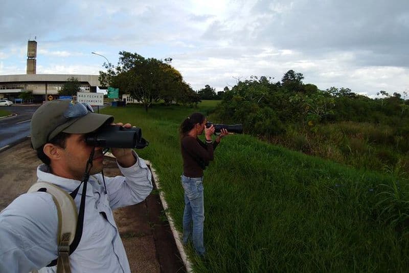 Iguazu Expeditions Observation des oiseaux le matin