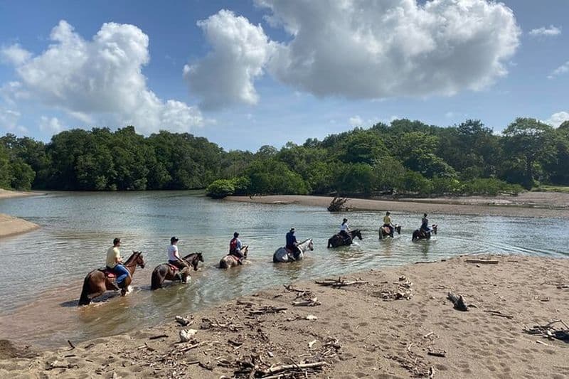 Excursion à cheval dans la jungle et la plage - 2H 1/2