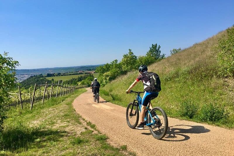 Visite en vélo électrique avec dégustation de vins de Salò