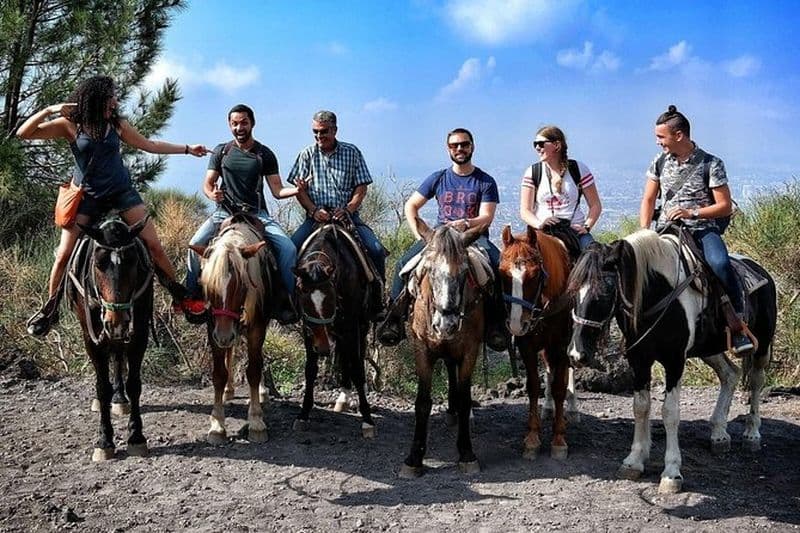 Visite guidée à cheval du Vésuve avec échantillon de vin
