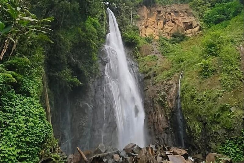 Billet Jardin botanique de Bogor et forêt tropicale Trekking à la cascade cachée