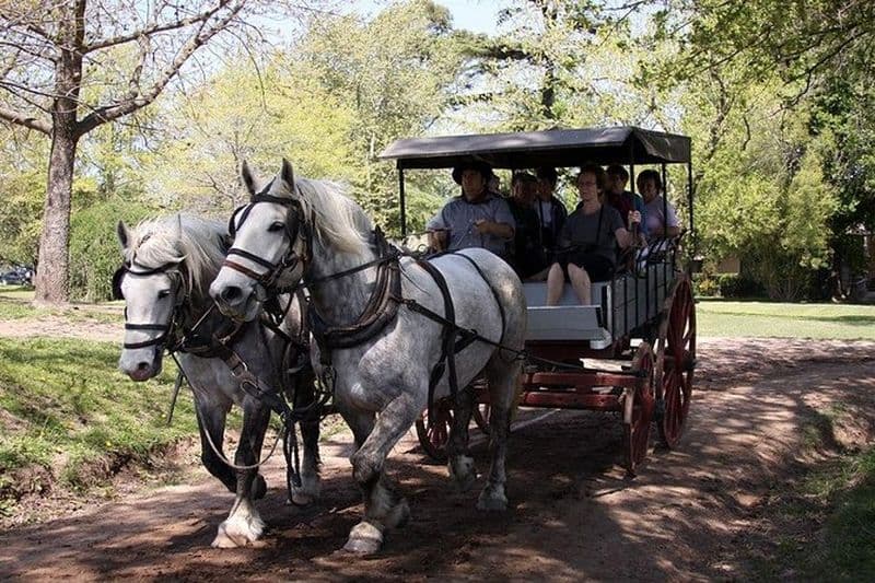 VISITE PRIVÉE DE GAUCHO - JOURNÉE COMPLÈTE Guidé en EN, SPA ou FR - Argentine