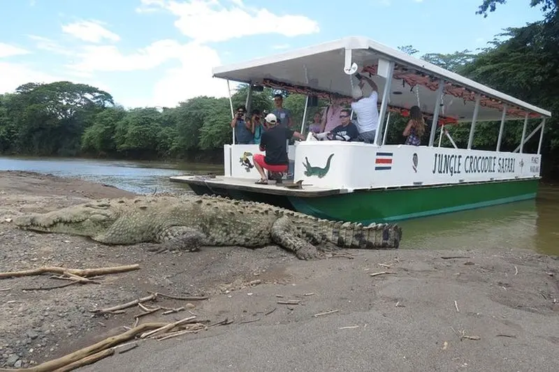 Safari crocodile dans la jungle et visite d'observation des oiseaux/Tarcoles River CR