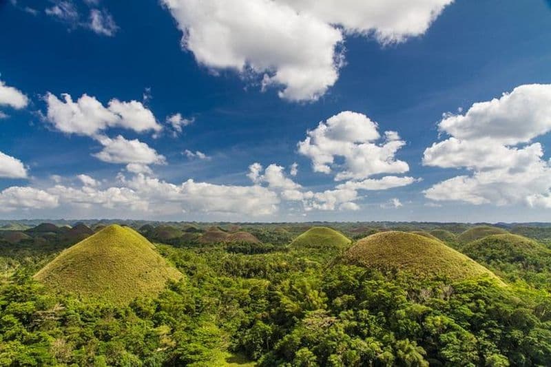 Billet Visite des points forts de Bohol : Chocolate Hills, rencontre avec des tarsiers et croisière sur le fleuve Loboc