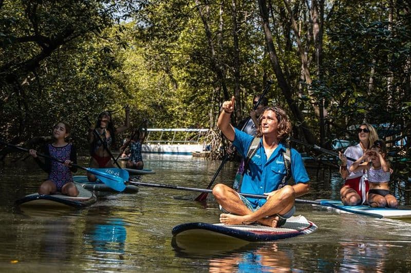 Visite des mangroves en paddle board