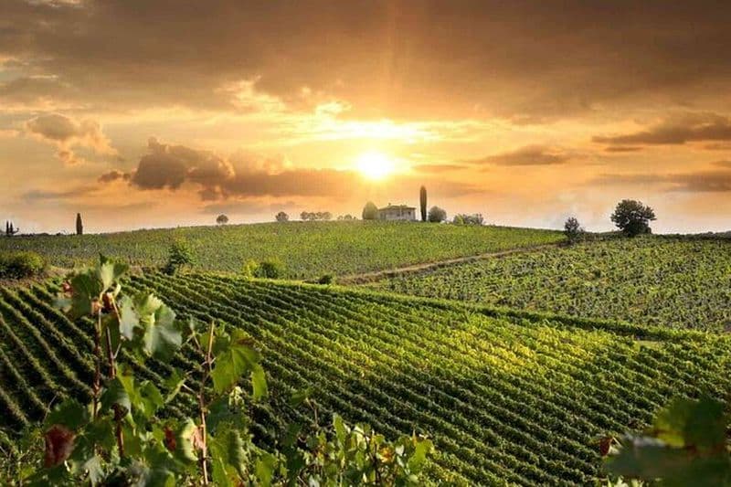 Dégustations de fromages au vin et d'huile EVO Journée complète de la Toscane du sud au départ de Rome