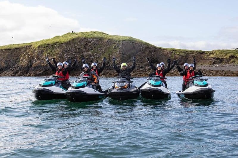 Billet Puffin Jet ski tour à Reykjavík