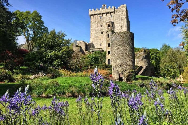 Billet Cobh (Cork) au château de Blarney et à Kinsale - Excursion à terre