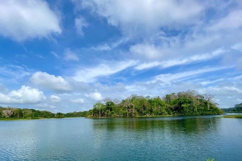 Visite privée de Monkey Watch et Gatun Lake Wildlife Safari