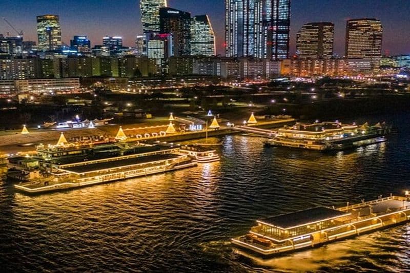 Visite nocturne de Séoul avec croisière sur le fleuve Han et palais Gyeongbokgung