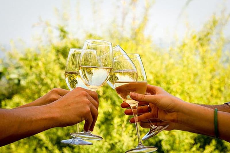 Billet Visite des vins : Paarl, Franschhoek & Stellenbosch incl 3 caves