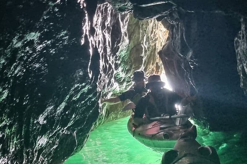 Billet Safari guidé en kayak sur la faune et les grottes marines sur la Riviera anglaise