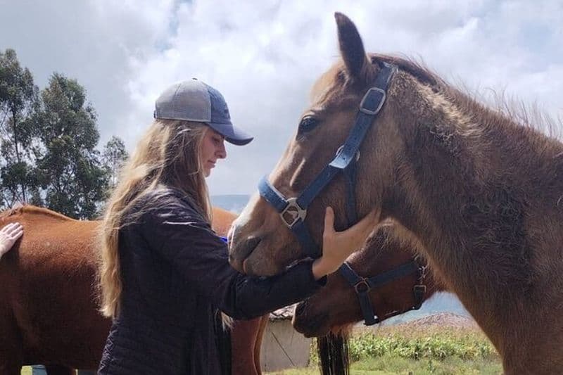 Visite privée à cheval
