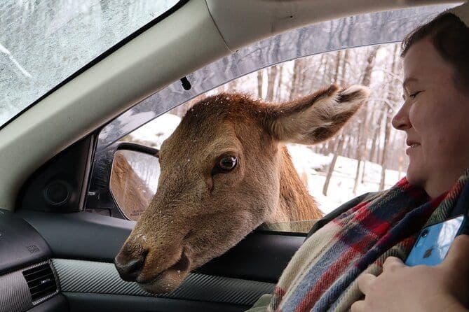 Montreal: Parc Omega Aventure Safari de la Faune Canadienne