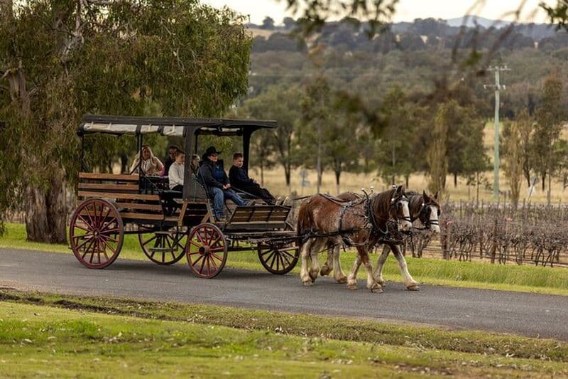 Vin de 3 heures et récolte du Hunter Horse Tour à Pokolbin