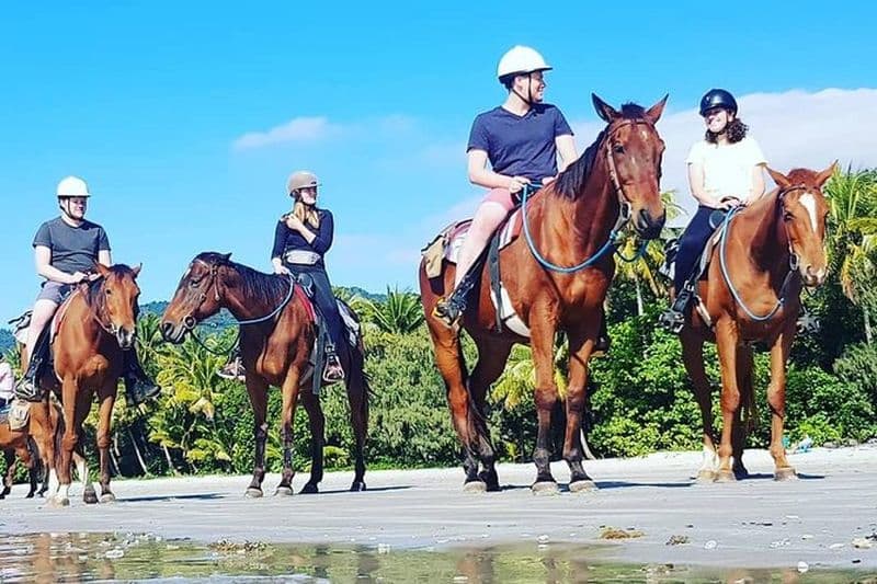 Balade à cheval sur la plage en milieu de matinée à Cape Tribulation