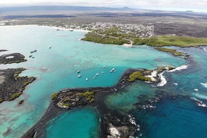 Excursion d'une journée sur l'île Isabela avec l'îlot Tintorera, les zones humides de plongée en apnée et les flamants roses