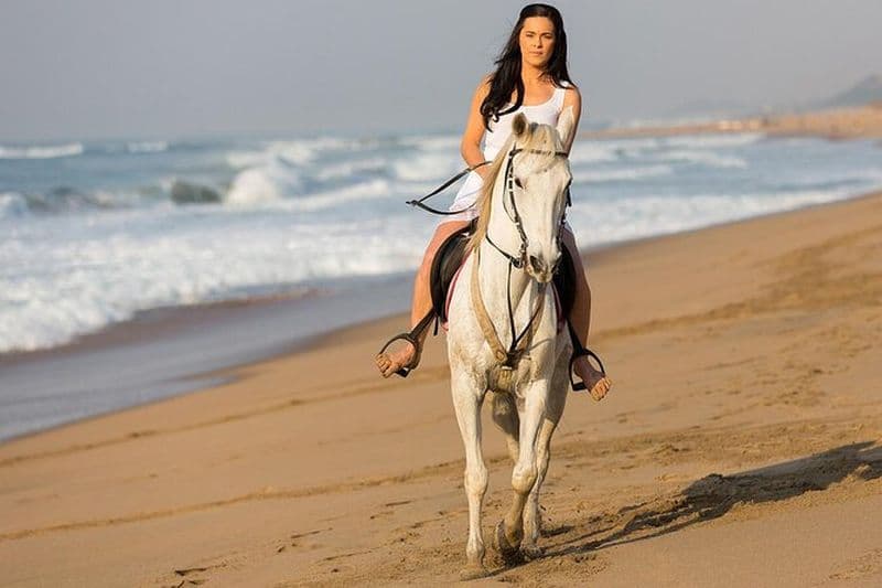 Balade à cheval avec ramassage et dépôt depuis Charm El Cheikh