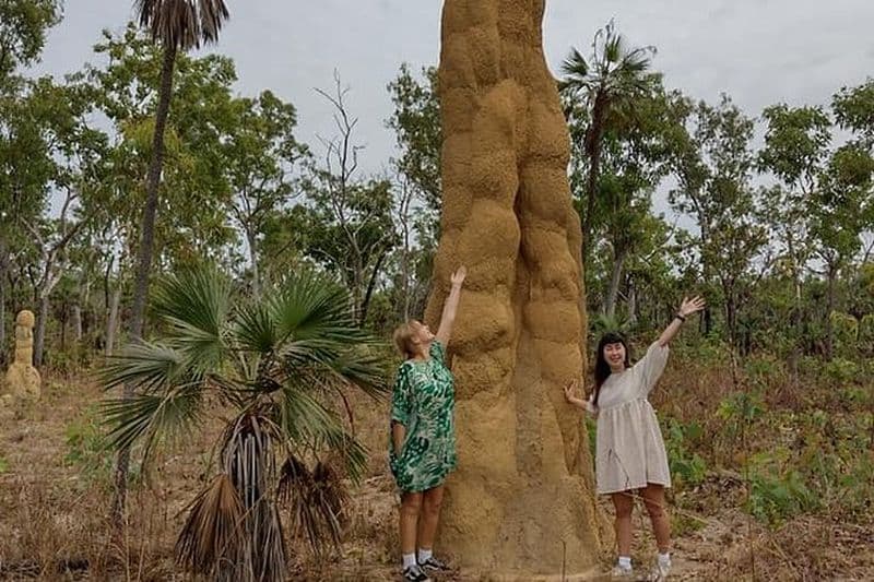 Billet Aventures en 4x4 dans le parc de Litchfield