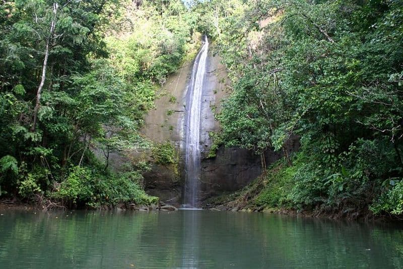 Billet 3 jours 2 nuits | Bahía Malaga: observation des baleines à bosse
