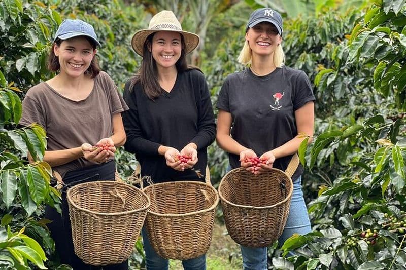 Billet Visite du café et visite en jeep à la Finca Mariposa à Jardin