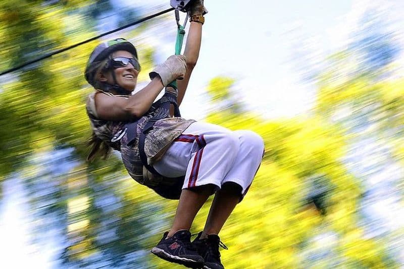 Forêt de nuages Mindo privée d'une journée complète, ferme aux papillons, observation des oiseaux au chocolat