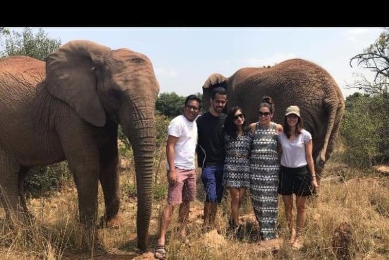 Visite guidée à pied de l'éléphant au départ de Johannesburg