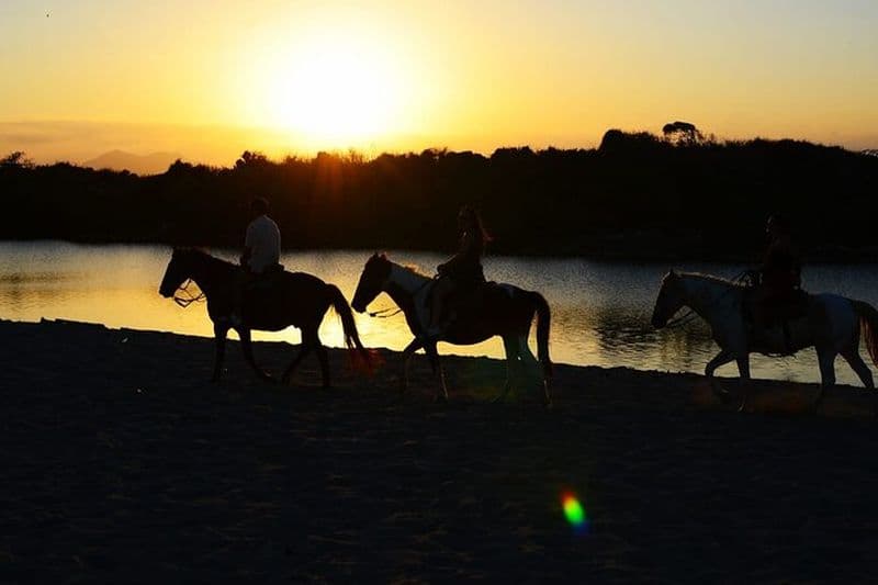 Balade à cheval de 2 heures au coucher du soleil depuis Punta Cana