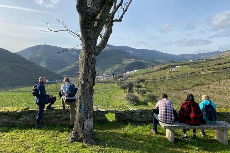RANDONNÉE dans la vallée du Douro