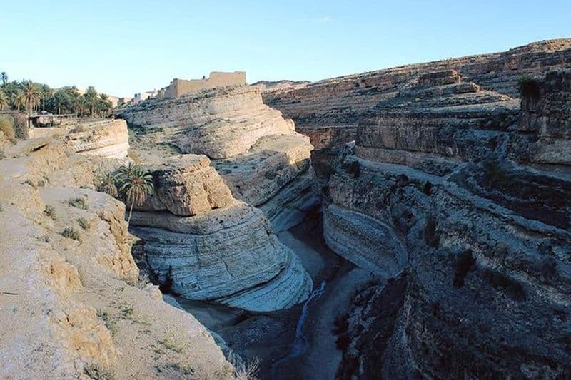 Visite de l'oasis de Tamerza Canyon