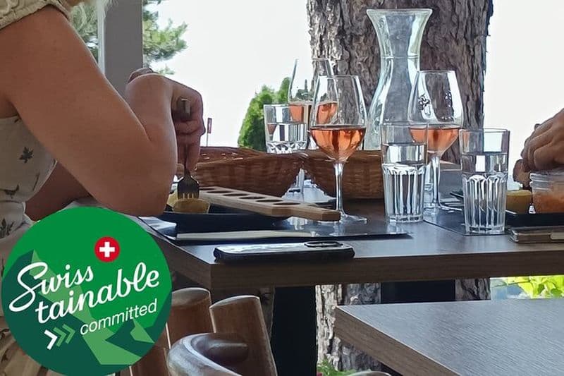 Visite de dégustation de vins dans les vignobles suisses du canton de Vaud