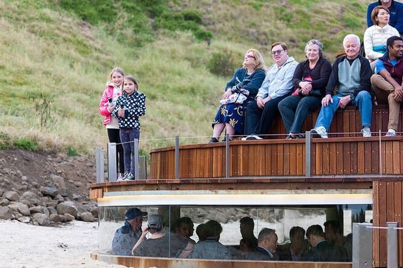 Phillip Island Penguin Parade Tour max 11 Hôtel Pickup