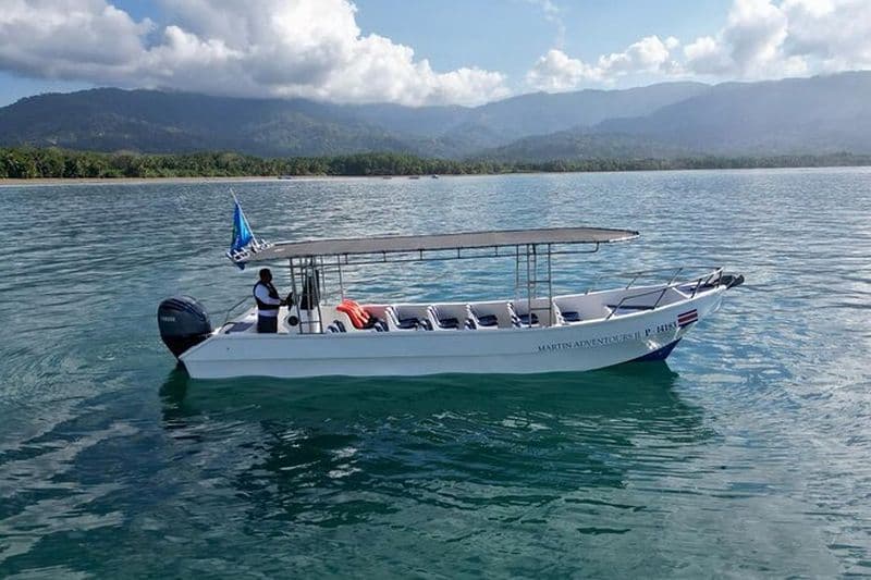 Billet Visite des baleines et des dauphins de Bahia Ballena - Matin