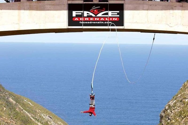 Big 5 et Bungee Tour de 3 jours - Visite en petit groupe de la Garden Route au départ du Cap