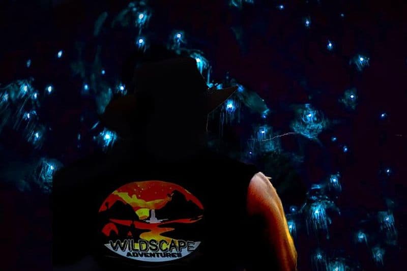 Billet Blue Mountains Randonnée Glow worms Cave Wildlife Spotlighting Night Adventure