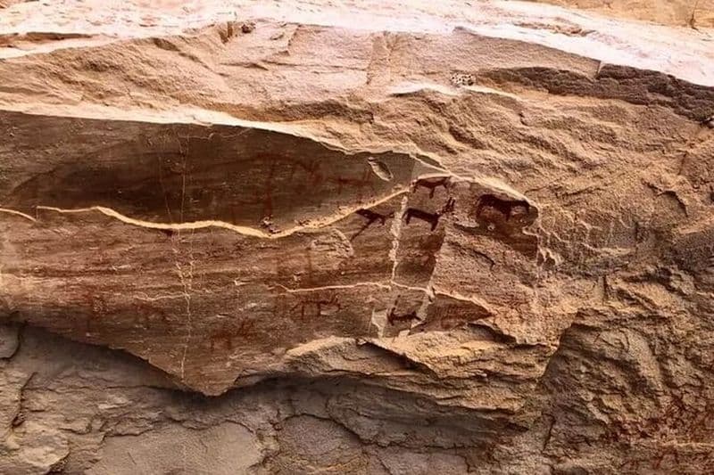 Visite de la peinture rupestre et des scènes de guerre antiques au départ de Dahab