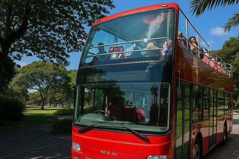 Cairns Hop on Hop Off